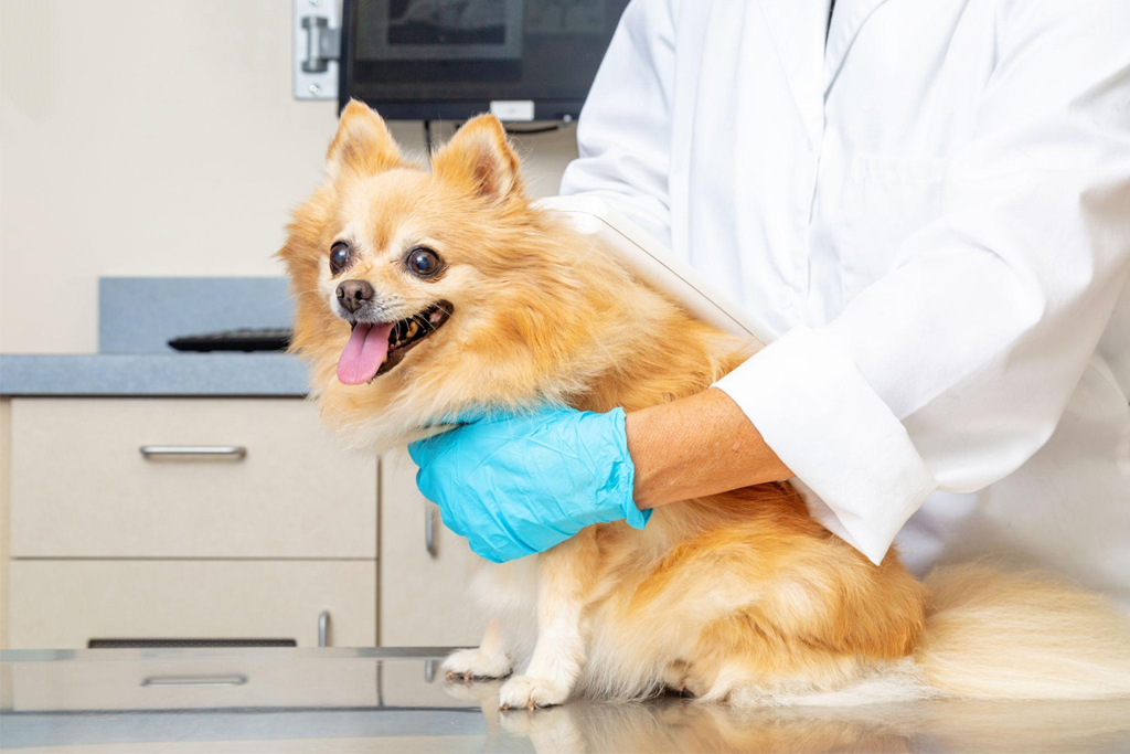 Smart RFID Pet Vaccination Management System: A...